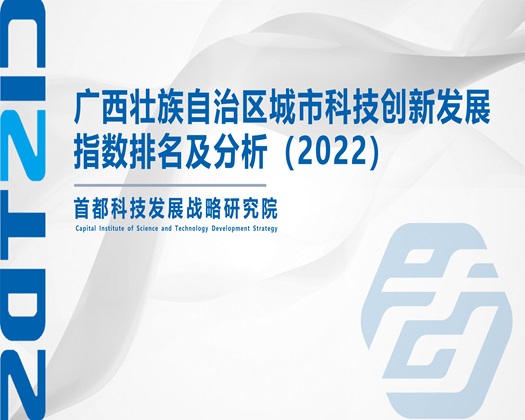 毛屌抽屄洞【成果发布】广西壮族自治区城市科技创新发展指数排名及分析（2022）